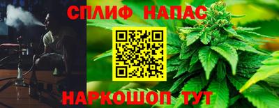 ешки Будённовск