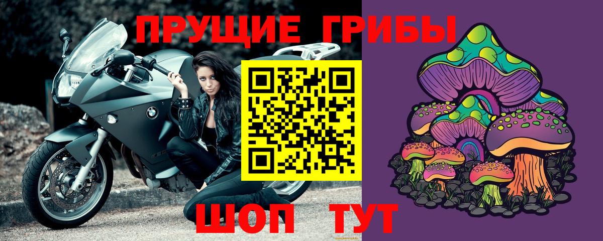 Псилоцибиновые грибы Psilocybe Бирск